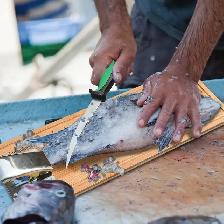 Fish cutter - Brampton