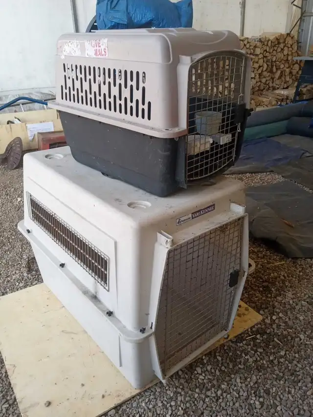 small dog kennel