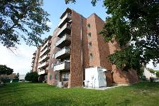 Collingwood 1 Bedroom Apartment for Rent - 120 Elm Street - Photo 4