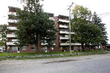 Collingwood 1 Bedroom Apartment for Rent - 120 Elm Street - Photo 8