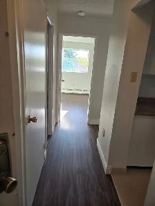 Collingwood 1 Bedroom Apartment for Rent - 120 Elm Street - Photo 10