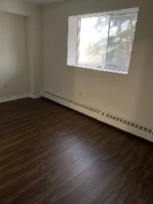 Collingwood 1 Bedroom Apartment for Rent - 120 Elm Street - Photo 13