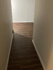 Collingwood 1 Bedroom Apartment for Rent - 120 Elm Street - Photo 15