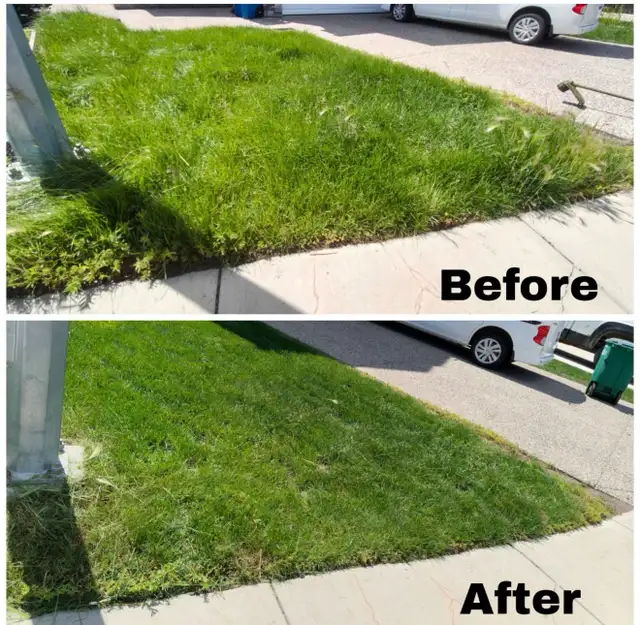lawn mowing