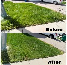 lawn mowing