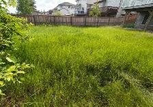 lawn mowing - Photo 2