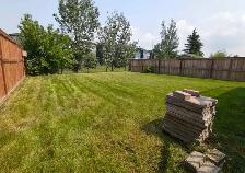 lawn mowing - Photo 3