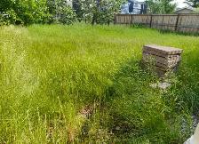 lawn mowing - Photo 4