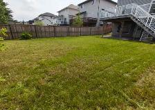 lawn mowing - Photo 5