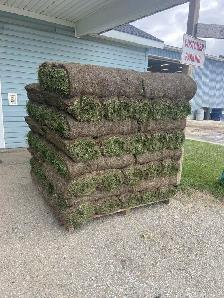 FARM FRESH SOD CUT DAILY - Photo 2