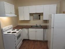 Ground Floor Commercial Space For Rent in West Hamilton - Photo 16