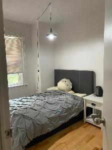 2 Bedroom Sandy Hill Apartment for Rent (50 Russell Ave) - Photo 3