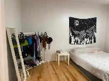 2 Bedroom Sandy Hill Apartment for Rent (50 Russell Ave) - Photo 7