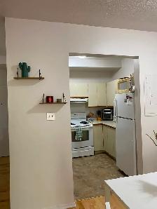 2 Bedroom Sandy Hill Apartment for Rent (50 Russell Ave) - Photo 9