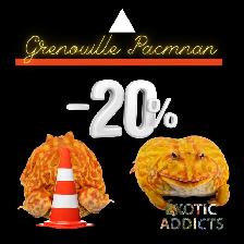 Grenouilles Pacman
