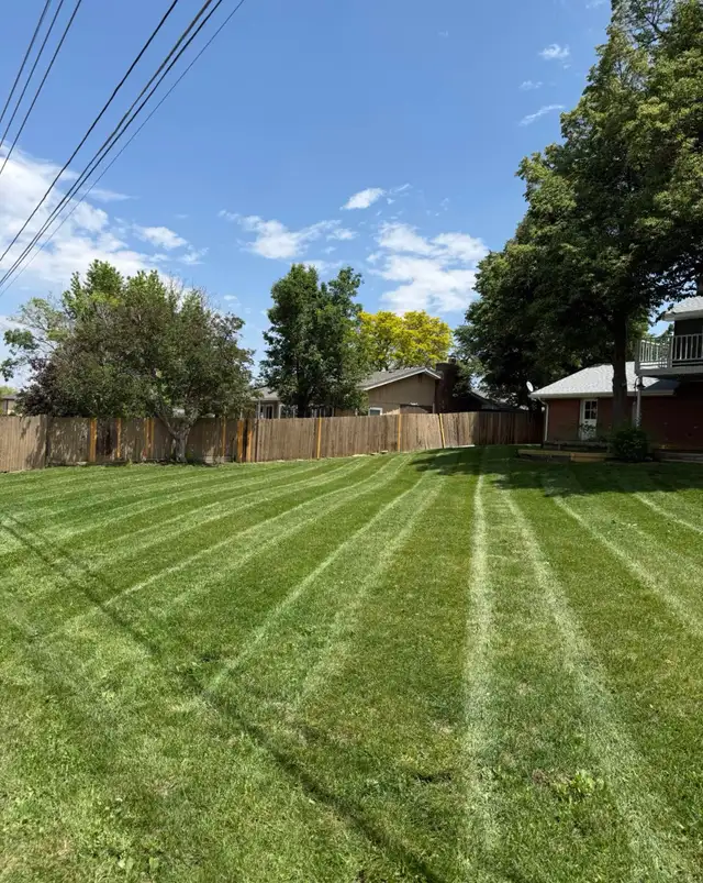 commercial lawn mowing