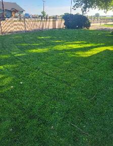 commercial lawn mowing - Photo 3