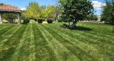 commercial lawn mowing - Photo 5