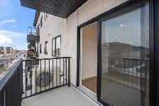 SPACIOUS 3 Bedroom Apartment! Available September 1st! - Photo 8
