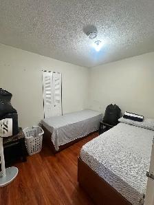 Room for rent in Malton, Mississauga - Only for Girls