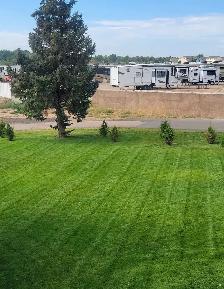 acreage lawn mowing - Photo 2