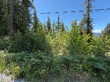 Shuswap lake lot - Photo 4