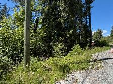 Shuswap lake lot - Photo 6