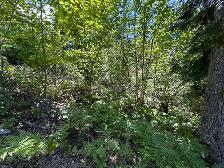 Shuswap lake lot - Photo 9