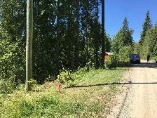 Shuswap lake lot - Photo 10