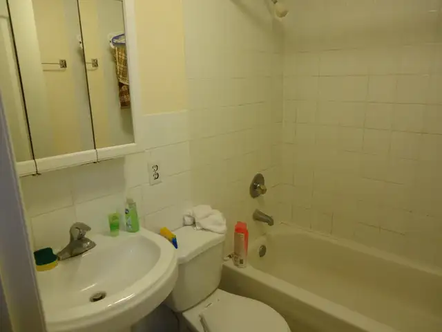 Big bedroom connected to backyard for rent