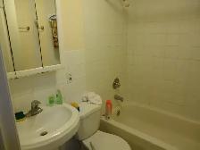 Big bedroom connected to backyard for rent
