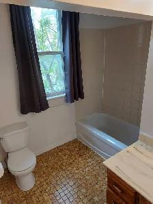 3 Bedroom Sandy Hill Apartment for Rent (508 Besserer St) - Photo 4