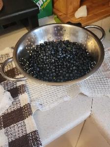 Blueberry - Photo 2