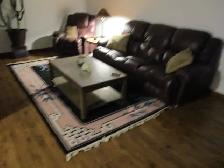 AREA   RUG - Photo 2