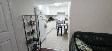 1 BEDROOM BASEMENT APARTMENT   1 DEN (ERIN MILLS) - Photo 5