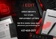 I edit Equifax credit reports, pay stubs, etc