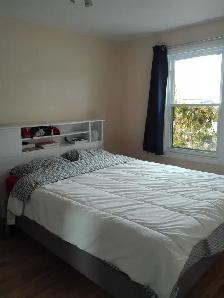 4 ½ à louer – Petite-Patrie | 1474 $/mois - Photo 4