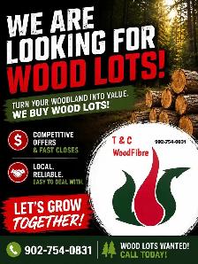 Looking for Wood lots to cut