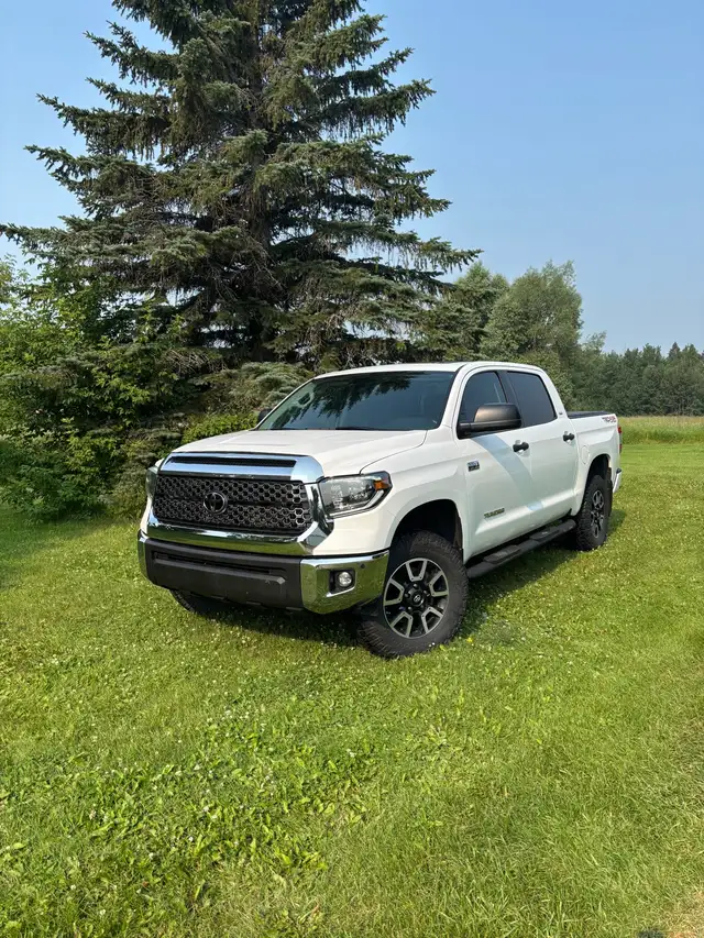 Tundra - 2020