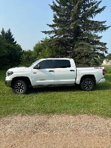 Tundra - 2020 - Photo 2