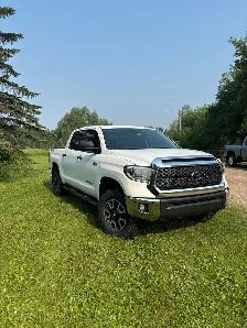Tundra - 2020 - Photo 4