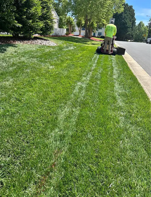 commercial lawn mowing