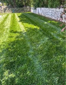commercial lawn mowing - Photo 2