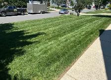 commercial lawn mowing - Photo 3