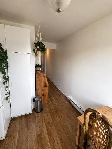 Beau 4 1/2 à Longueuil - Photo 3
