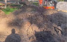 dirt removal - Photo 2