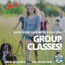 Group Dog Training Classes 6 weeks
