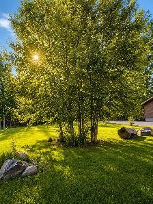 61’ × 120’ Treed Building Lot – 43 Cameron Rd, Pinawa – $52,900 - Photo 2