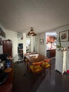 1 Large BR, 1.5 Bath Spacious Apartment-9th Floor - Photo 4