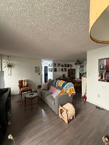 1 Large BR, 1.5 Bath Spacious Apartment-9th Floor - Photo 6